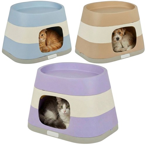 Dog cat pet home - home, kitten