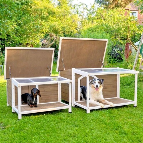 Outdoor dog kennel outside - outdoor,