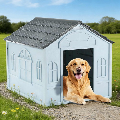 Outdoor large dog - outdoor,
