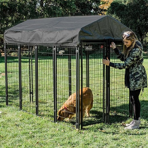 Sturdy outdoor dog kennel - dog,