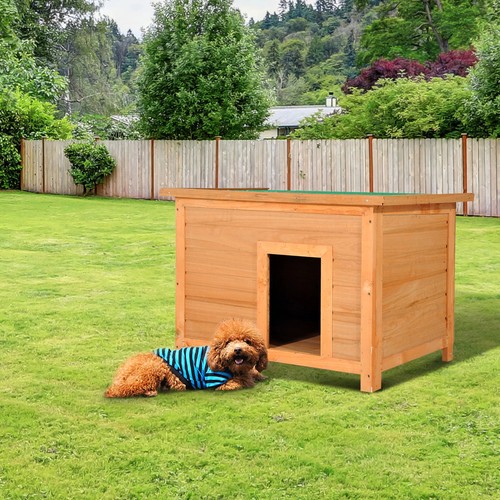 Wooden dog cat - cat, outdoor